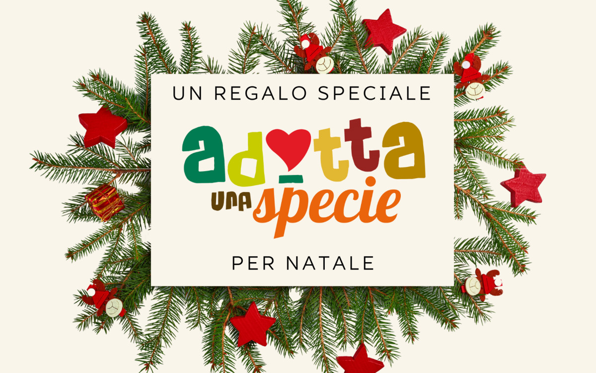 /uploads/Natale/Adotta una specie Natale.png